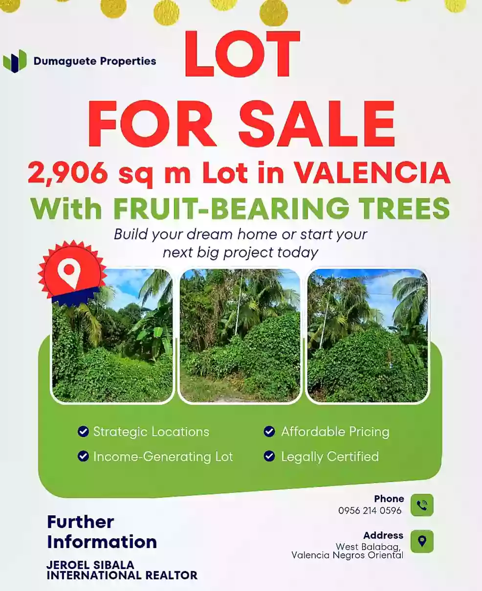 Lot for Sale in West Balabag Valencia