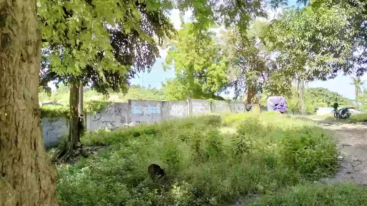 CONSOLACION LOT FOR SALE! — Residential Lot in Consolacion, Cebu, Philippines — Photo 3