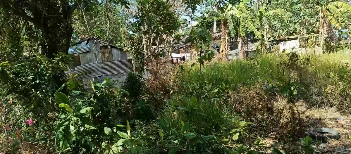 Lot for sale — Residential Lot in Bacolod, Negros Occidental, Philippines — Photo 2