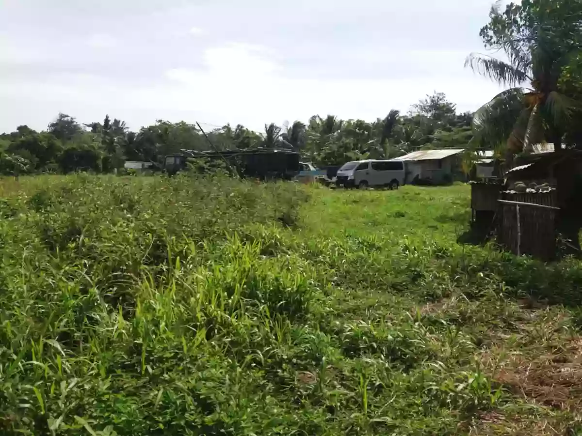 Residential lot — Residential Lot in Silay City, Negros Occidental, Philippines — Photo 4