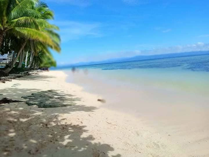 OWN THIS BEAUTIFUL PANARAGA BEACH — Beach Lot in Unnamed Road, Barobo, Surigao del Sur — Photo 4