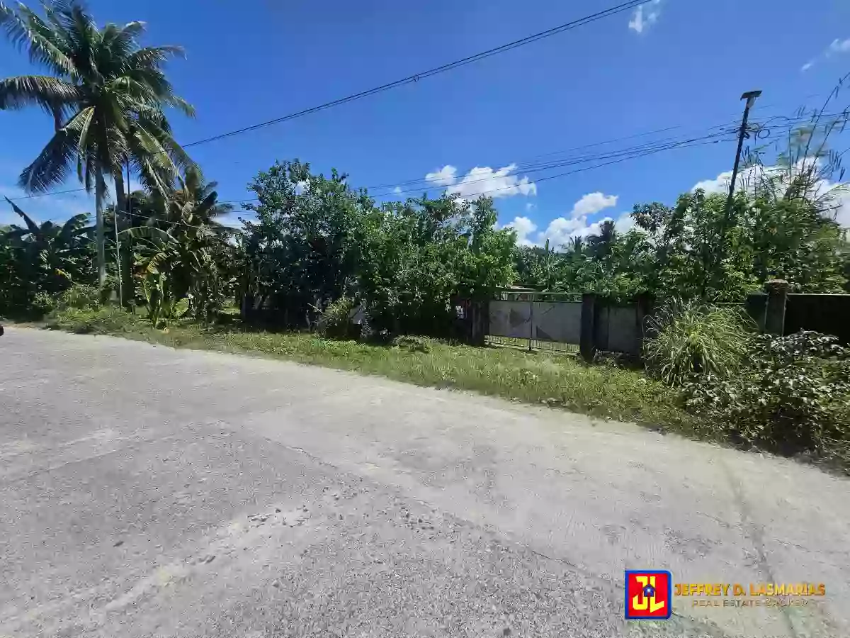 Rush Sale! 1,098sqm Lot in Calabnugan, Sibulan [available] — Residential Lot in Sibulan, Negros Oriental, Philippines — Photo 3
