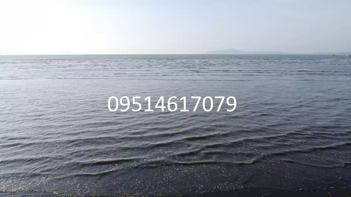 905 sqm Beachline Property in Busaon, Tagum City: Your Dream Beachfront Awaits — Beach Lot in Tagum, Davao del Norte, Philippines — Photo 2
