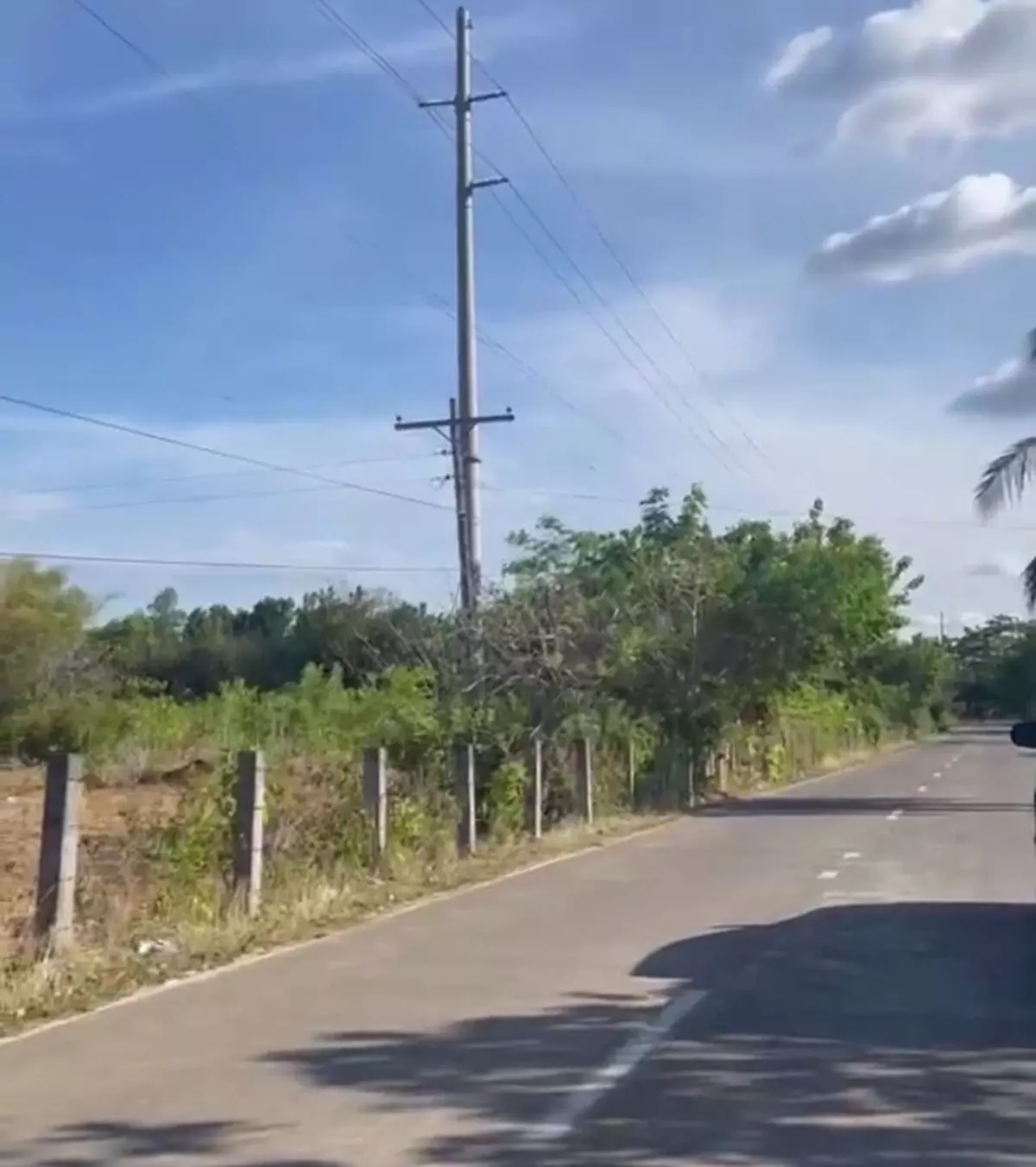 Prime Beachfront Lot for Sale — Agricultural Lot in Daanbantayan, Cebu, Philippines — Photo 2