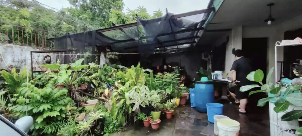 Doña Juliana Heights — House and Lot in Bacolod, Negros Occidental, Philippines — Photo 3