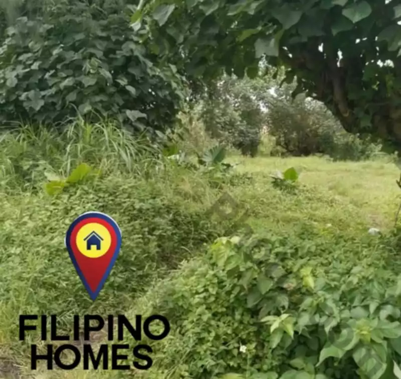 533 SQM RESIDENTIAL LOT FOR SALE IN A COMMERCIAL AREA — Residential Lot in Legazpi City, Albay, Philippines — Photo 5
