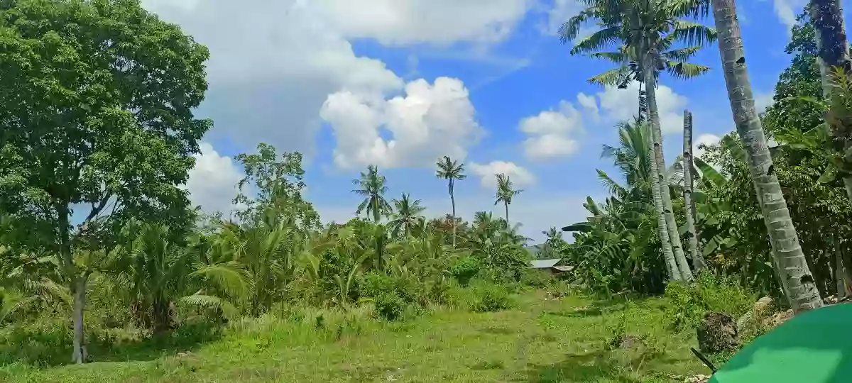 Rush For Sale Lot Only In Pinamungahan Cebu Along the Road — Residential Lot in Cebu, Philippines — Photo 4