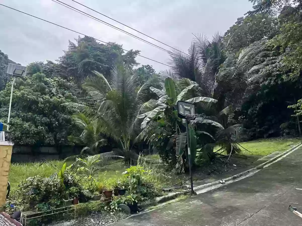 La Vista Monte 2 Lot Only 