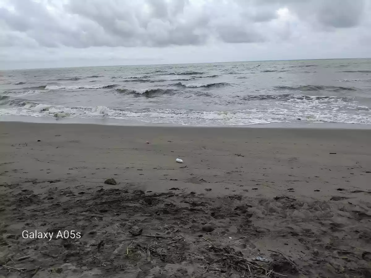 Open photo 13 of 13 — Beach Resort For Sale (Sipalay)