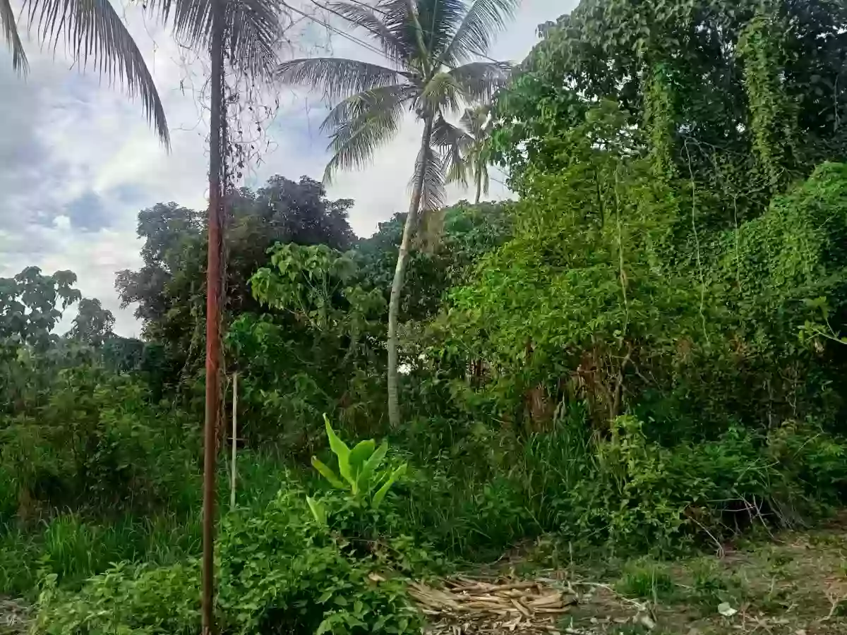 Lot for saler — Residential Lot in Negros Oriental, Philippines — Photo 3