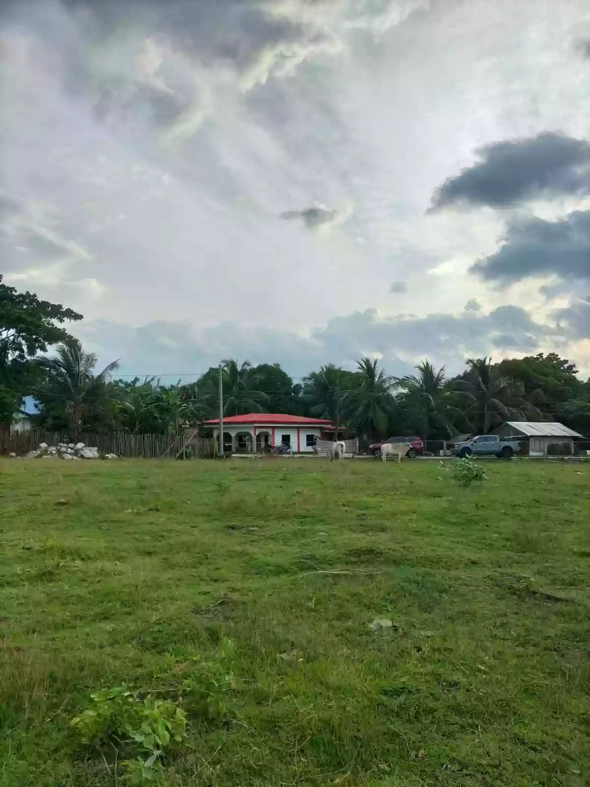 3,585 squaremeters Overlooking Lot Upper Jugno, Amlan Negros Oriental — Agricultural Lot in Amlan, Negros Oriental, Philippines — Photo 5