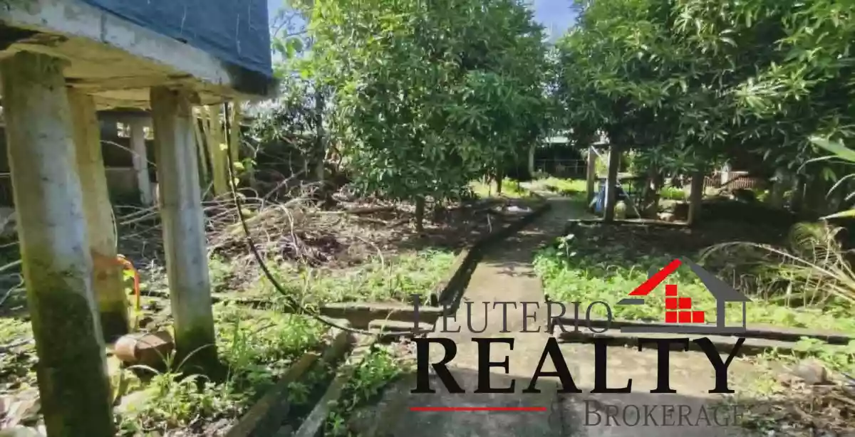 3470 SQM FARM LOT WITH LIVESTOCK CONSTRUCTION — Agricultural Lot in Calabanga, Camarines Sur, Philippines — Photo 6
