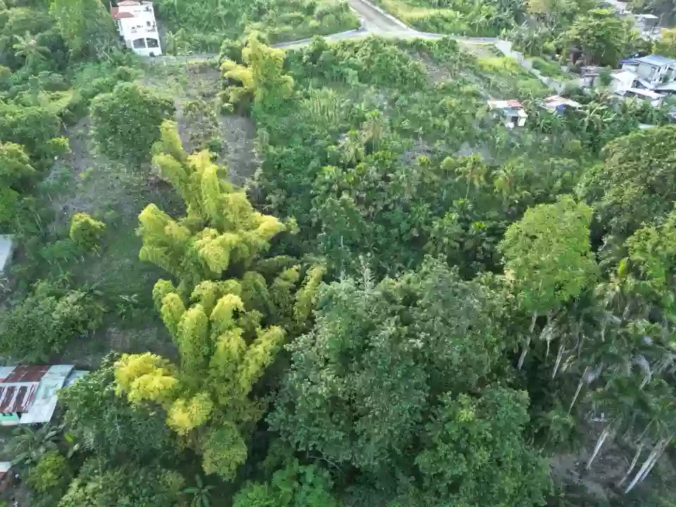 Lot Only in Quiot Pardo, Cebu City — Residential Lot in Cebu City, Cebu, Philippines — Photo 3
