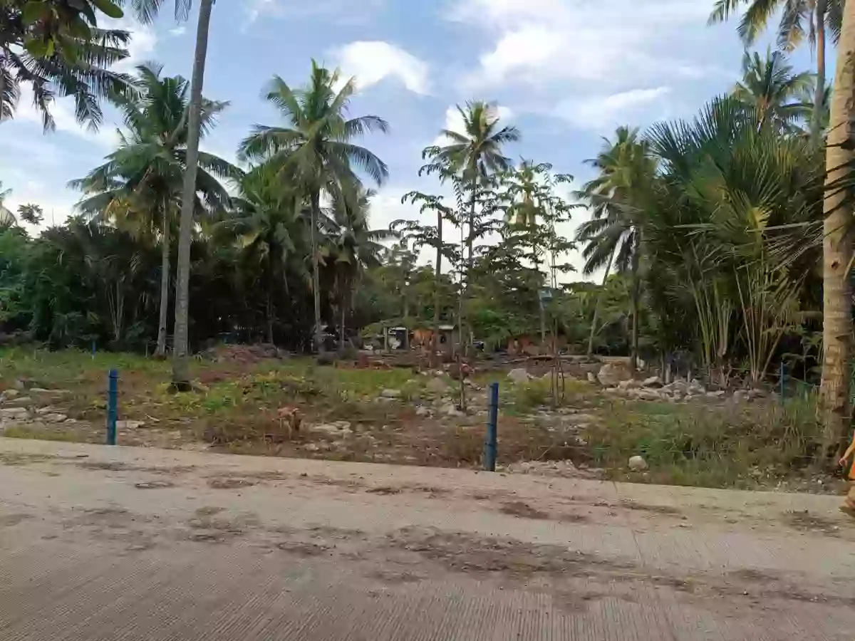 Lot for Sale in Liloan — Residential Lot in Liloan, Cebu, Philippines — Photo 3