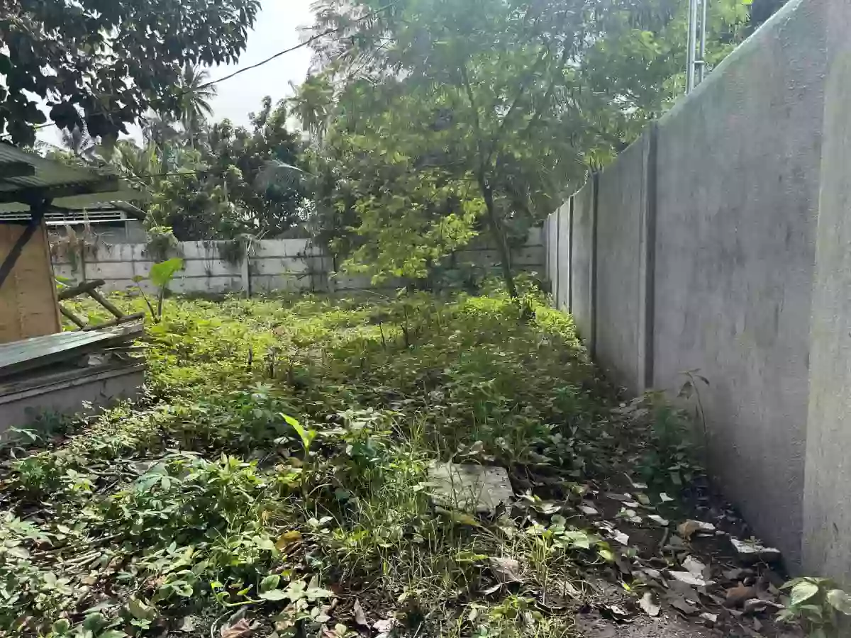 Residential Lot FOR SALE in  Poblacion Polomolok — Residential Lot in Polomolok, South Cotabato, Philippines — Photo 3