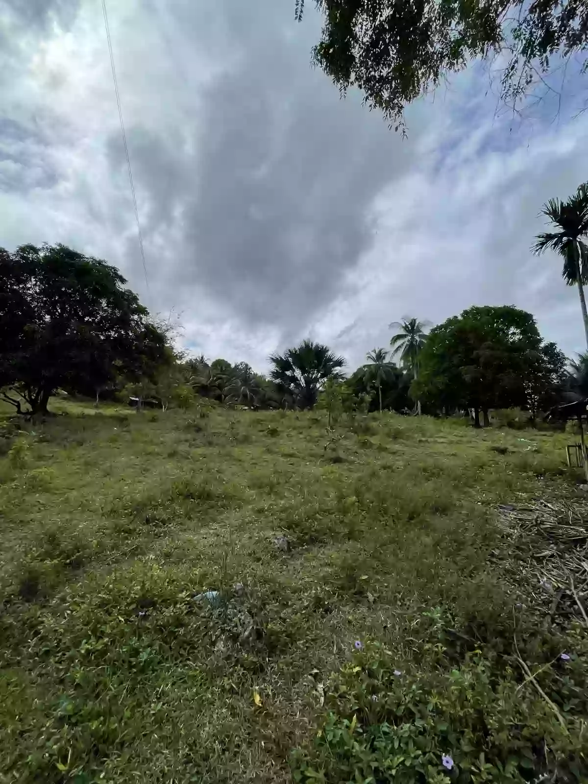 Lot for Sale along the National Highway in Tabuelan