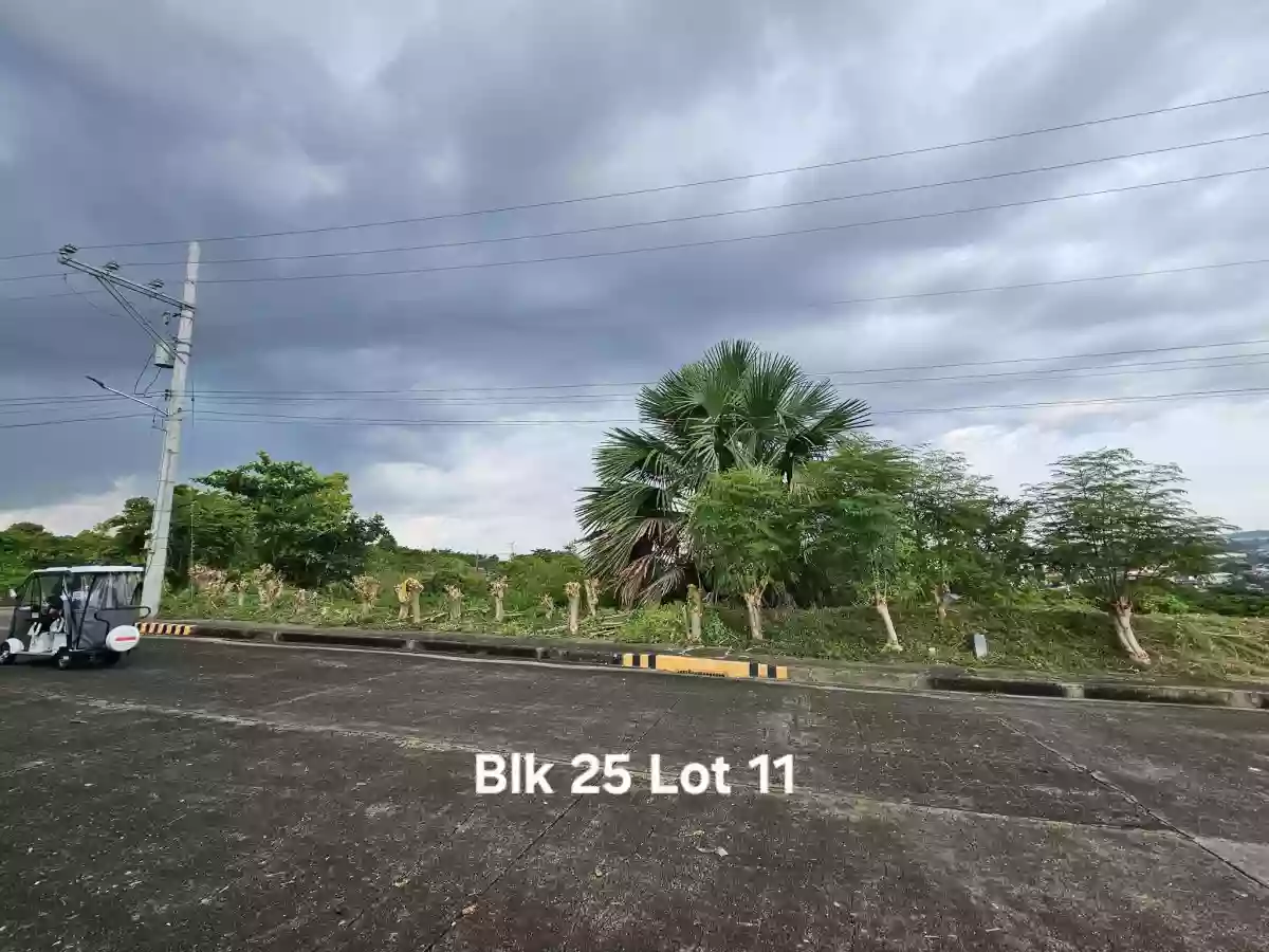 ROYALE Cebu Estate in Casili Consolacion Cebu-For as low as P30,000 per sqm. — Residential Lot in Consolacion, Cebu, Philippines — Photo 6