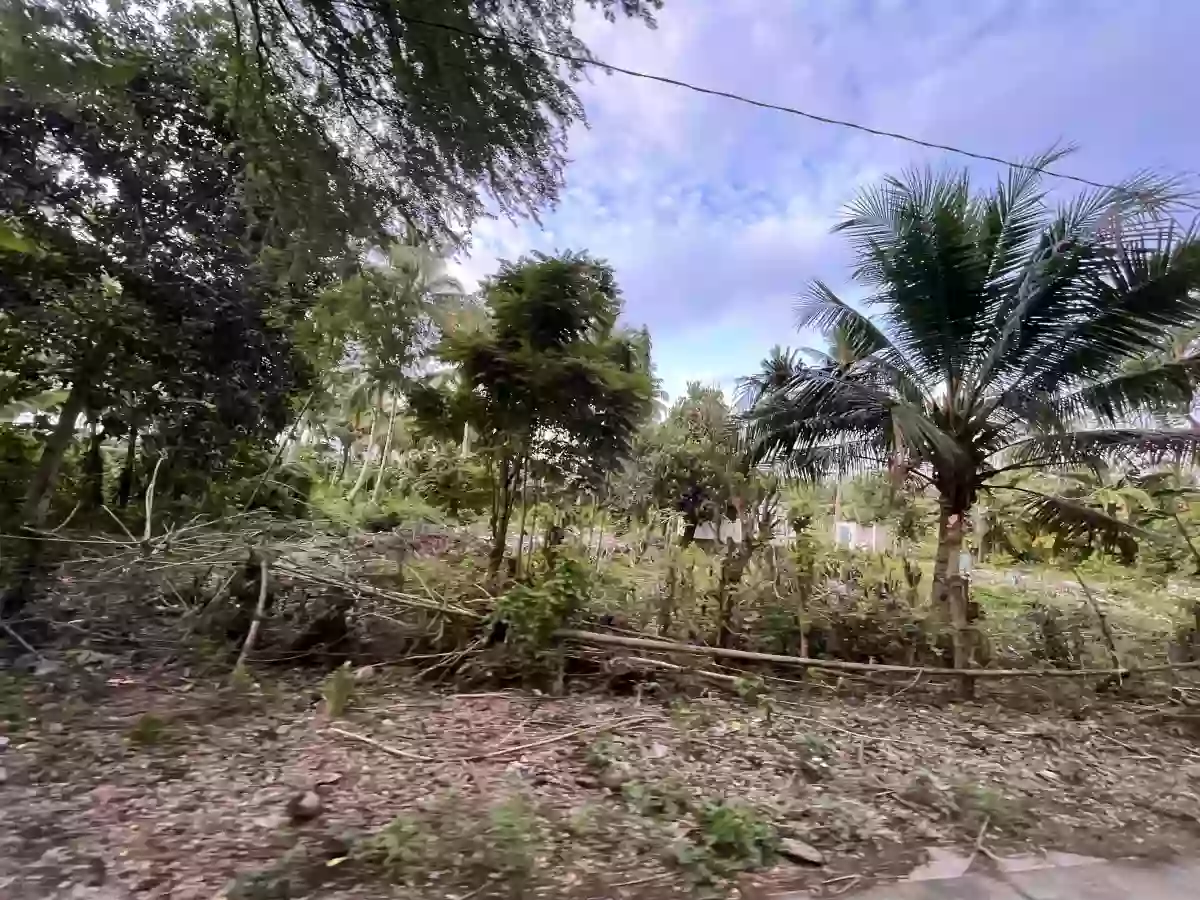Limpjap Lot Property — Agricultural Lot in General Santos City, South Cotabato, Philippines — Photo 4