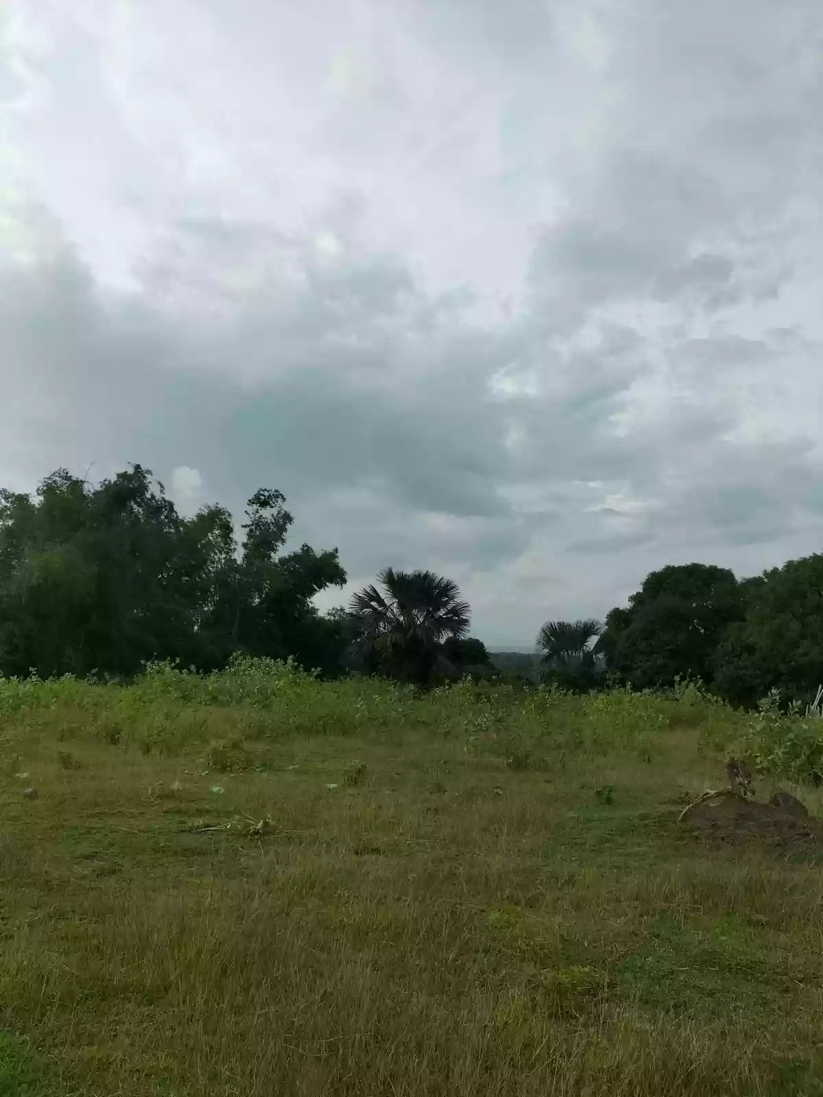 3,585 squaremeters Overlooking Lot Upper Jugno, Amlan Negros Oriental — Agricultural Lot in Amlan, Negros Oriental, Philippines — Photo 3