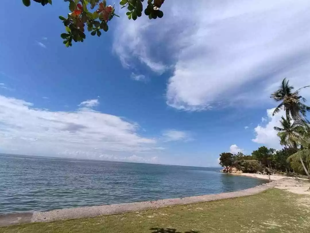 12 Hectare with House and White Sand — Beach Lot in Negros Occidental, Philippines — Photo 3