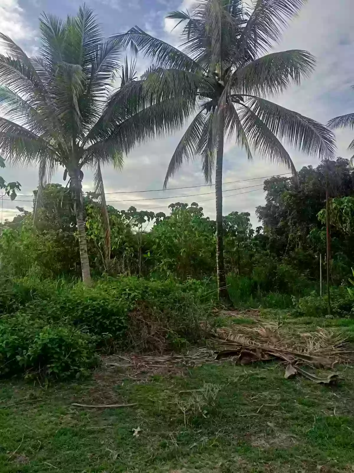 Lot for saler — Residential Lot in Negros Oriental, Philippines — Photo 2