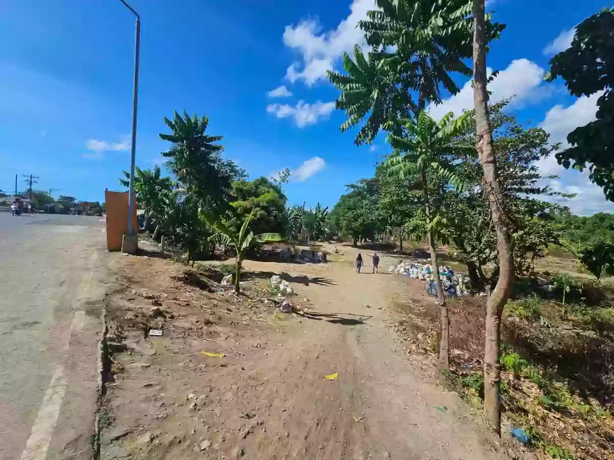 FOR SALE COMMERCIAL LOT AT TABOC DANAO CITY — Commercial Lot in Danao City, Cebu, Philippines — Photo 4