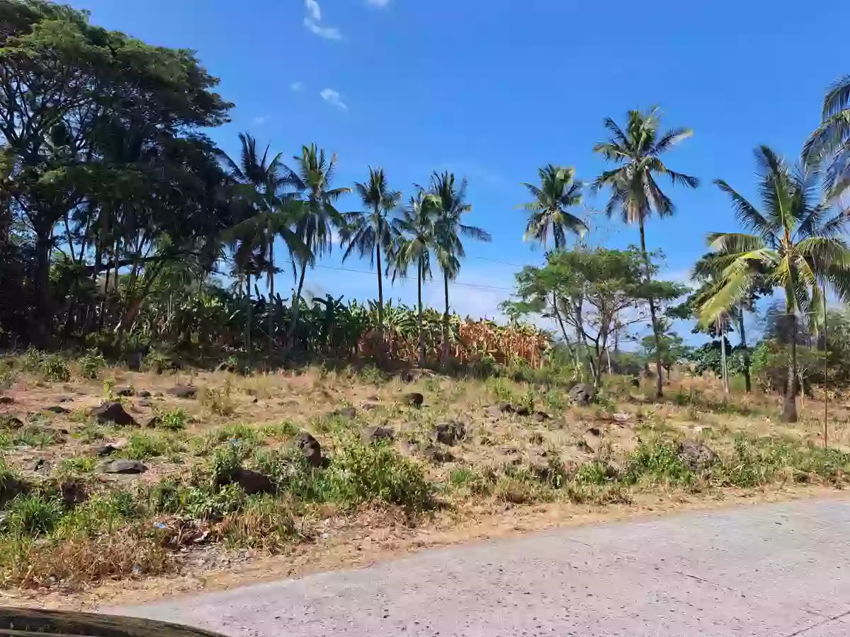 FOR SALE: 1,110 SQM Residential Lot Tierra Alta, Palinpinon, Valencia — Residential Lot in Valencia, Negros Oriental, Philippines — Photo 4