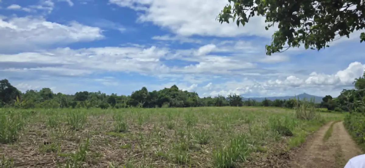 ORMOC FARM LOT FOR SALE