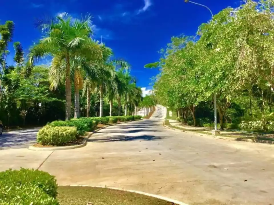 334 sqm Residential lot for sale in Vera Estate Mandaue Cebu — Residential Lot in NS Road, Cebu City, Cebu — Photo 2