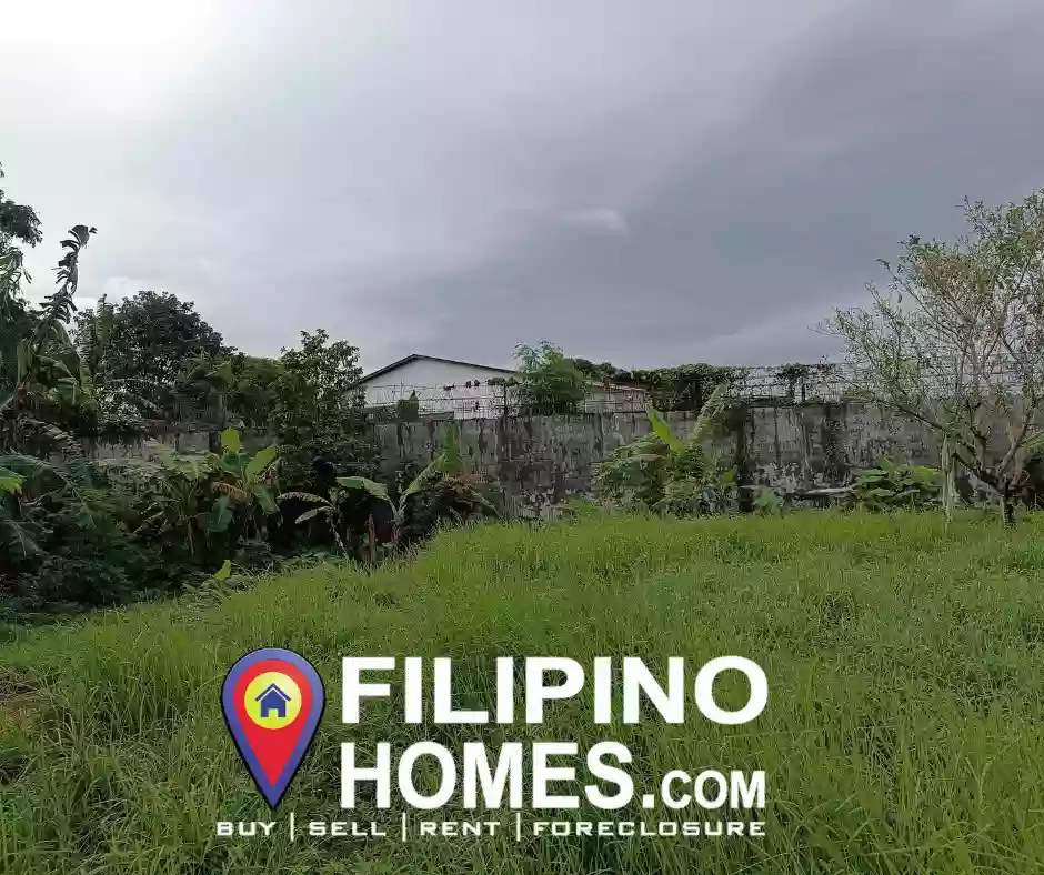 Lot For Sale in Lucena City clean title, Good for Residential/Apartment/mini-resort 4mins ride to SM Lucena — Agricultural Lot — Photo 4