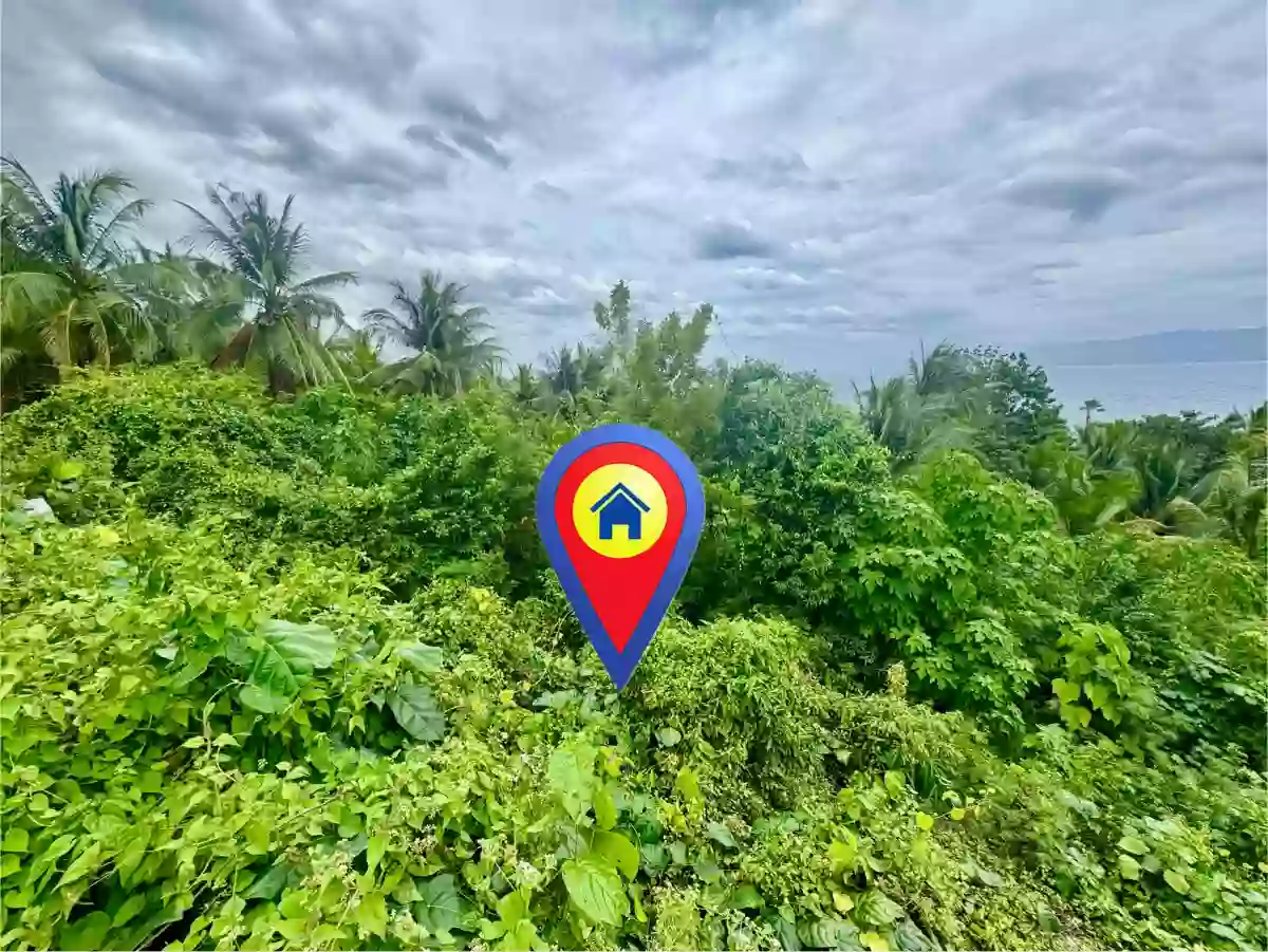 For Sale: Residential Lot in Santo Niño, San Jose — 1,311 sqm — Residential Lot in Negros Oriental, Philippines — Photo 3