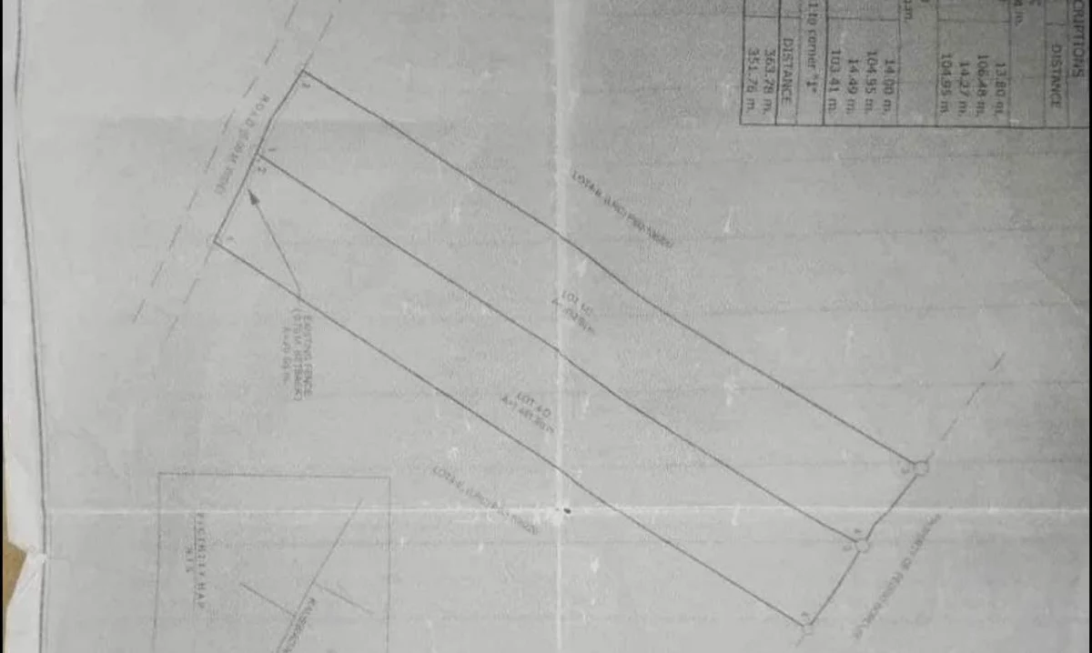 RESIDENTIAL /COMMERCIAL LOT FOR SALE IN TALAMBAN — Residential Lot in Cebu City, Cebu, Philippines — Photo 4