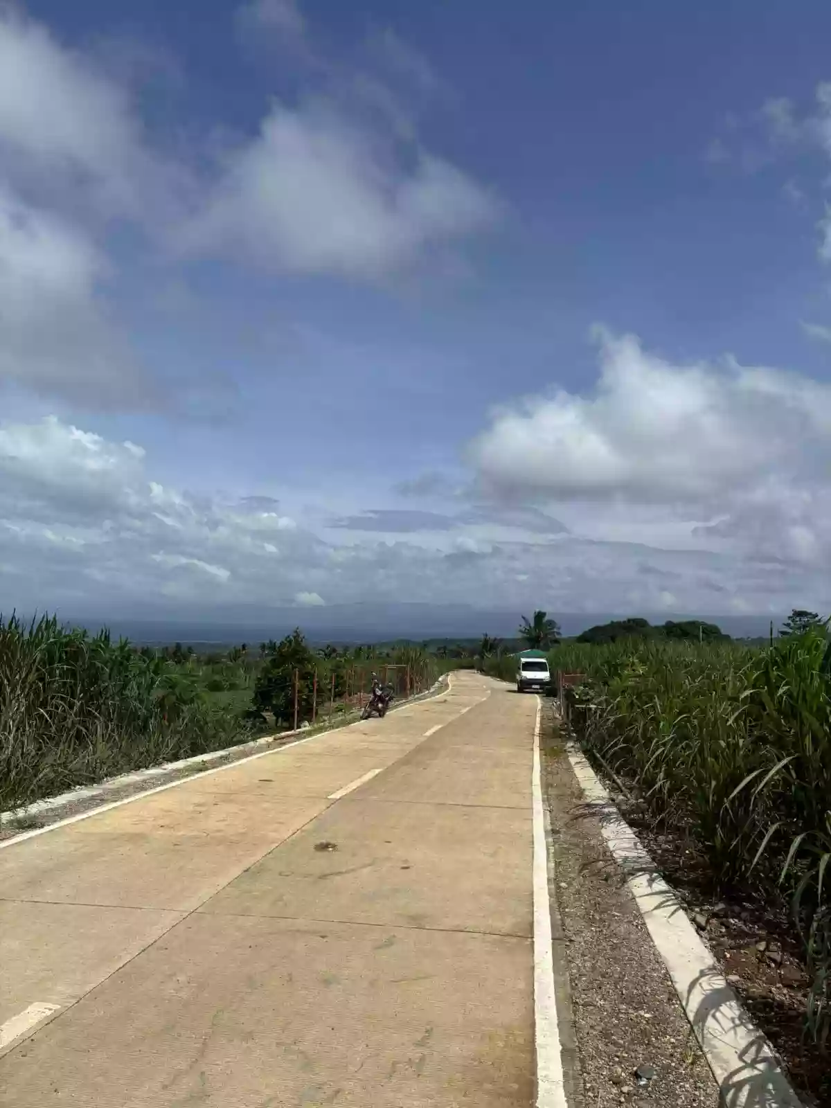 Agricultural Lot For Sale 2 Hectares Jantianon, Amlan, Negros Oriental