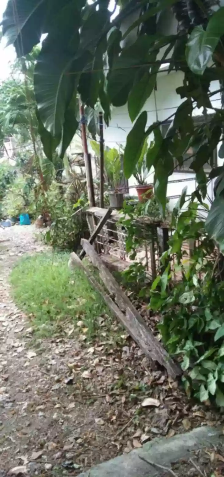 Income Generating Property for SALE!!! — House and Lot in Cebu City, Cebu, Philippines — Photo 2