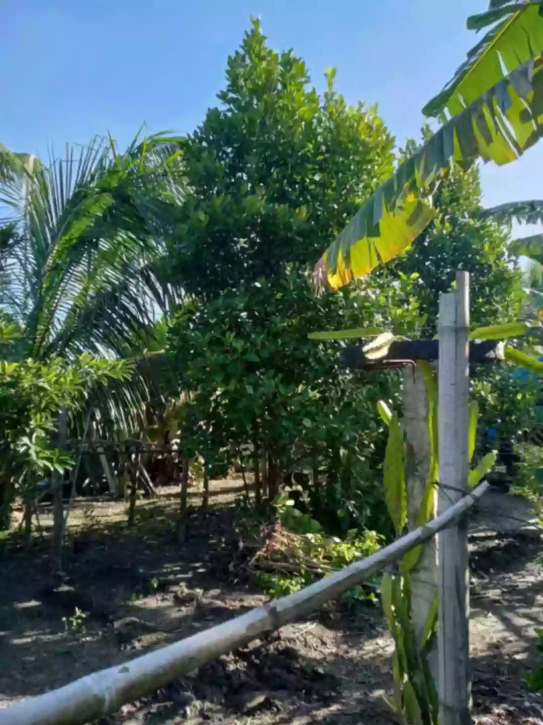 LOT FOR 400sq.m. Lot area both Corner Lot