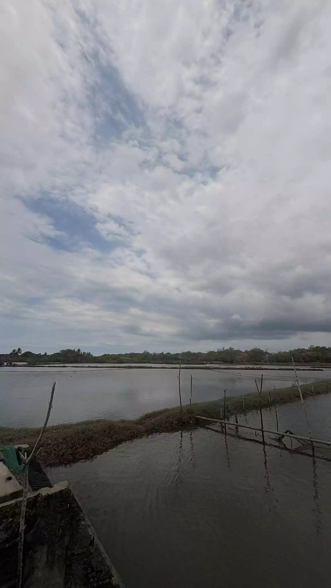 Fish Pool/Pala-Isdaan/Punong — Agricultural Lot in Manapla, Negros Occidental, Philippines — Photo 7