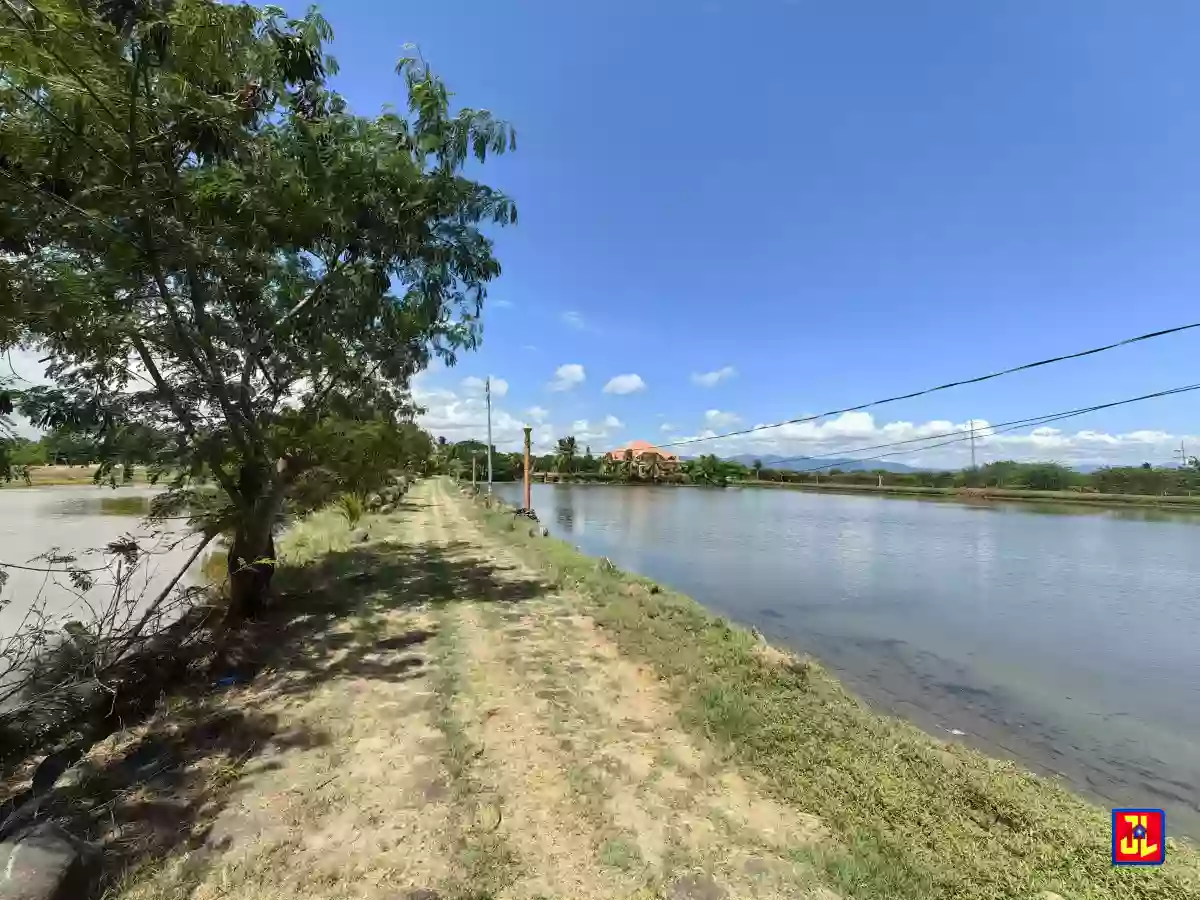 Amazing House with fishpond for Sale in Polo, Tanjay [available] — House and Lot in Negros Oriental, Philippines — Photo 2