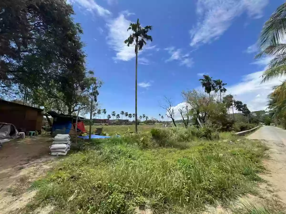 1.7 Hectare Agricultural Lot for Sale [TAX DEC] — Agricultural Lot in Liloan, Cebu, Philippines — Photo 3