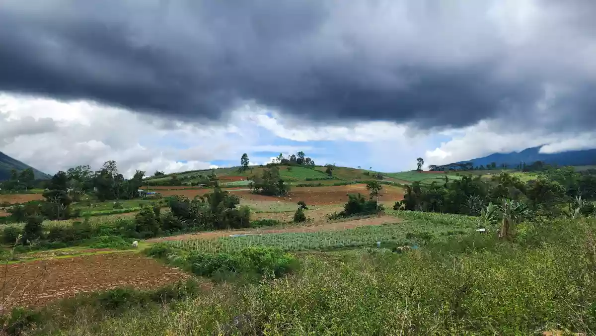 1.6 hectares Farm Lot for Sale in Basak, Lantapan, Bukidnon — Agricultural Lot in Lantapan, Bukidnon, Philippines — Photo 7