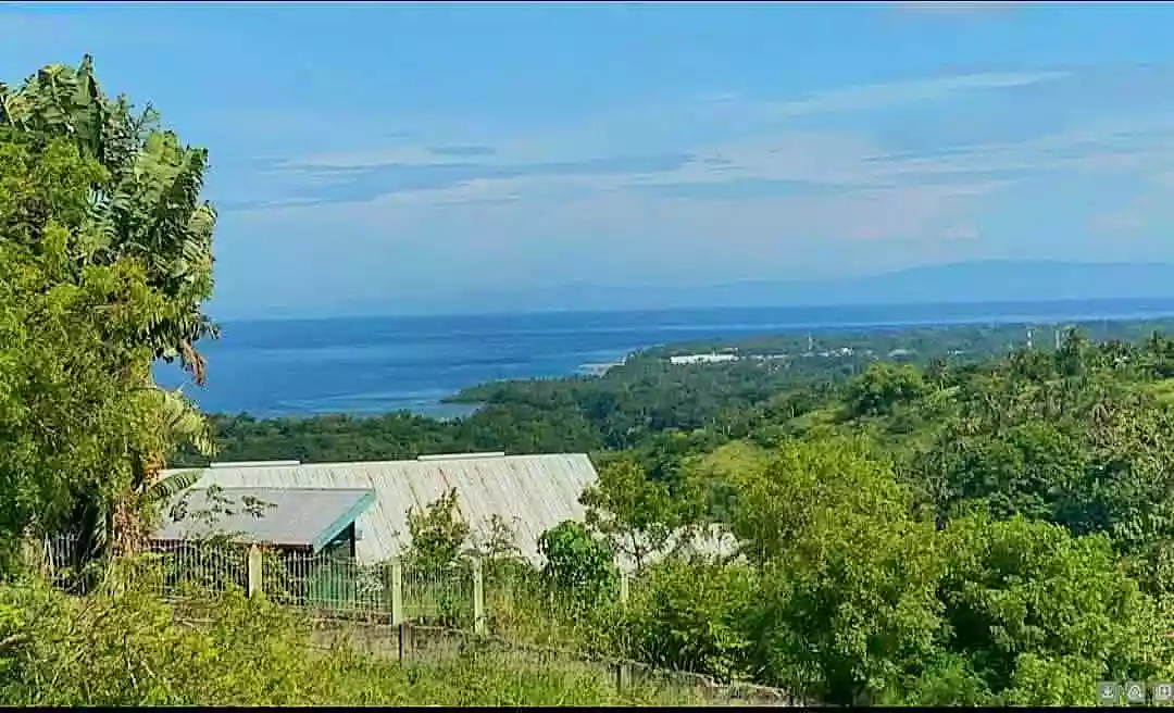 Clean Title Lot For Sale in Maningcao,Sibulan,Negros Oriental — Residential Lot in Negros Oriental, Philippines — Photo 4