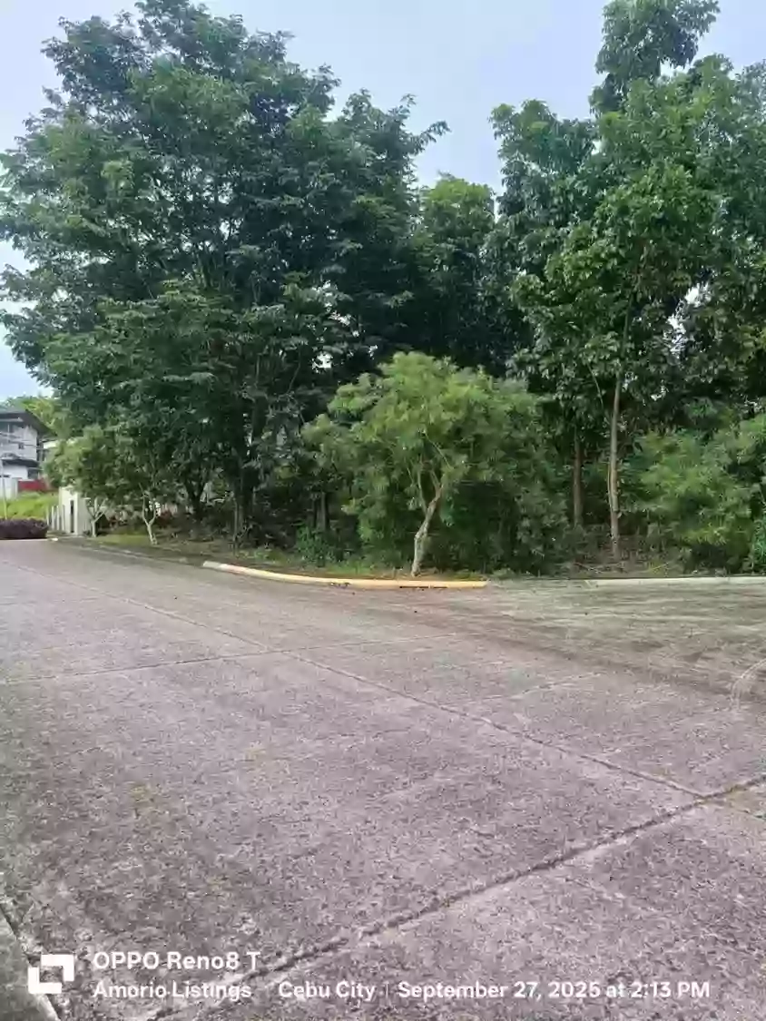 334 sqm Residential lot for sale in Vera Estate Mandaue Cebu — Residential Lot in NS Road, Cebu City, Cebu — Photo 4