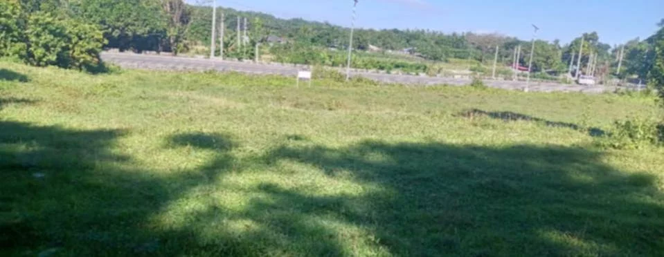 2Has lot at Santiago, Ilocos Sur — Commercial Lot in Ilocos Sur, Philippines — Photo 4