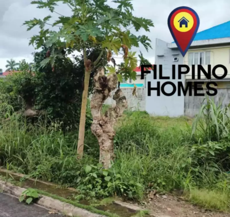 RESIDENTIAL LOT FOR SALE — Residential Lot in Naga City, Camarines Sur, Philippines — Photo 4