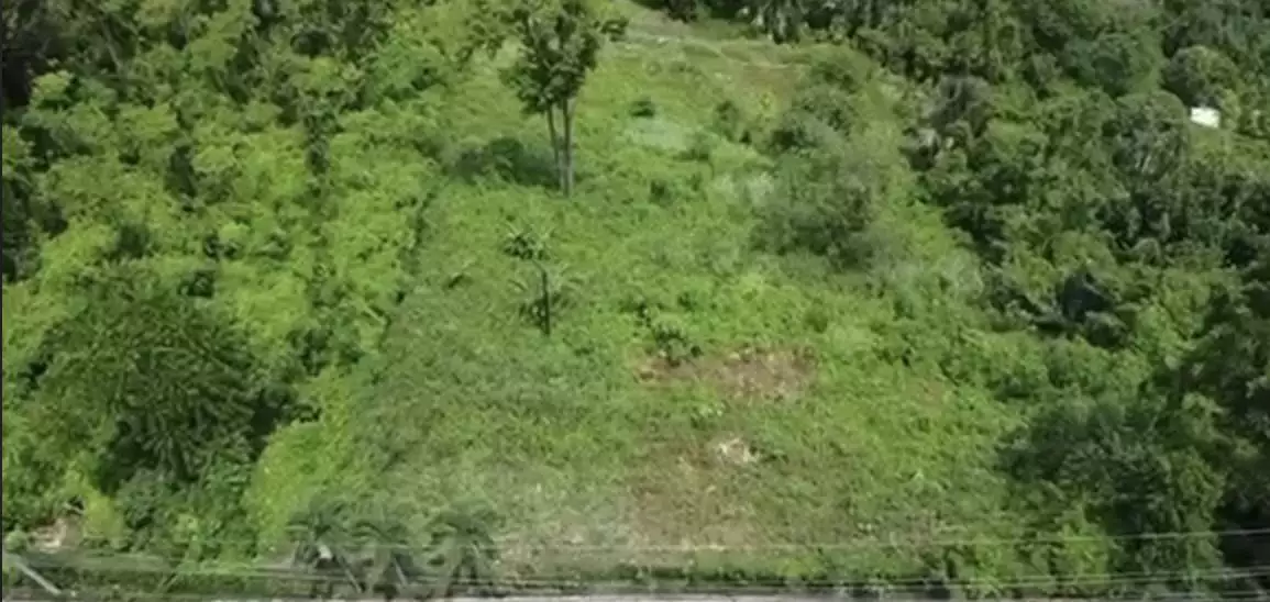 MARIA LUISA LOT (PHASE 11) — Residential Lot in Cebu City, Cebu, Philippines — Photo 4