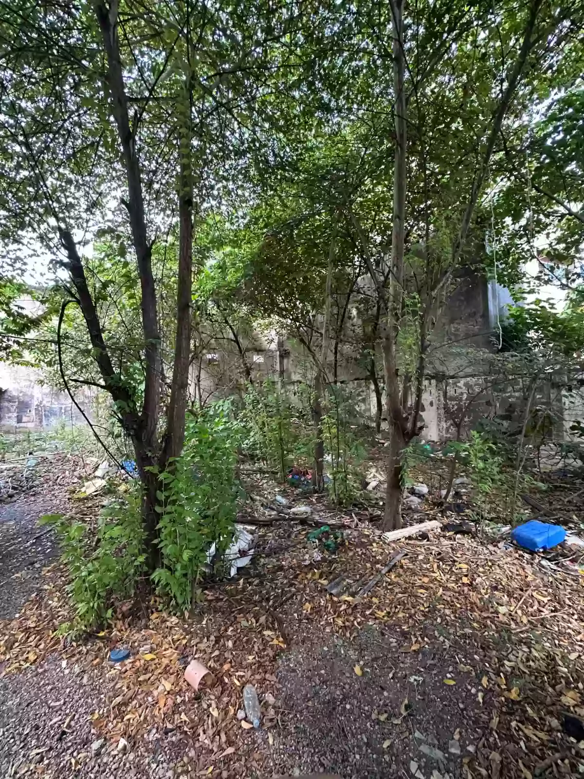 LOT FOR SALE IN URGELLO CEBU CITY — Residential Lot in Cebu City, Cebu, Philippines — Photo 5