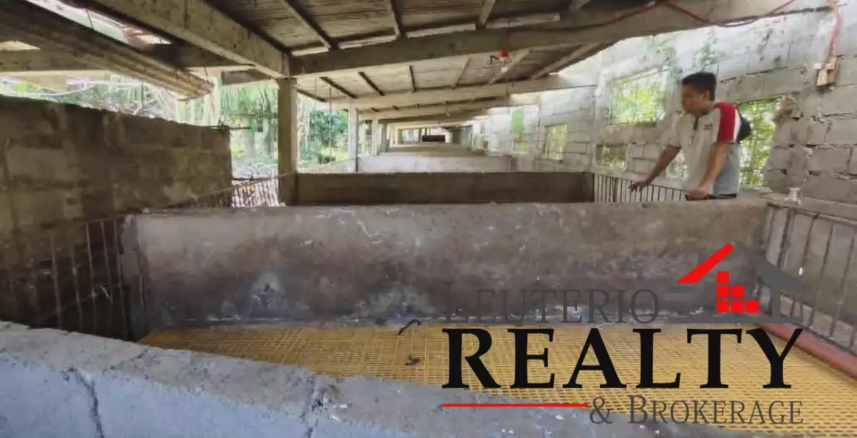 3470 SQM FARM LOT WITH LIVESTOCK CONSTRUCTION — Agricultural Lot in Calabanga, Camarines Sur, Philippines — Photo 3