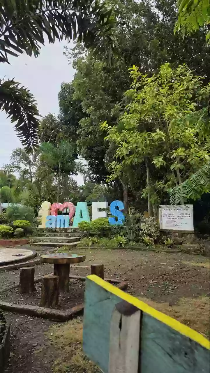 Income Generating Sugarcane Farm — Agricultural Lot in Dingle, Iloilo, Philippines — Photo 2