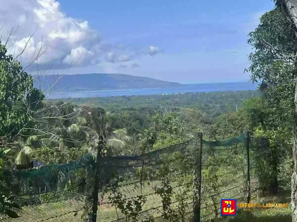 P7.5M discount! From P32.5M to P25M! 22,538sqm Mango Farm Rush Sale House in Balili, Valencia [available] — Agricultural Lot in Valencia, Negros Oriental, Philippines — Photo 3