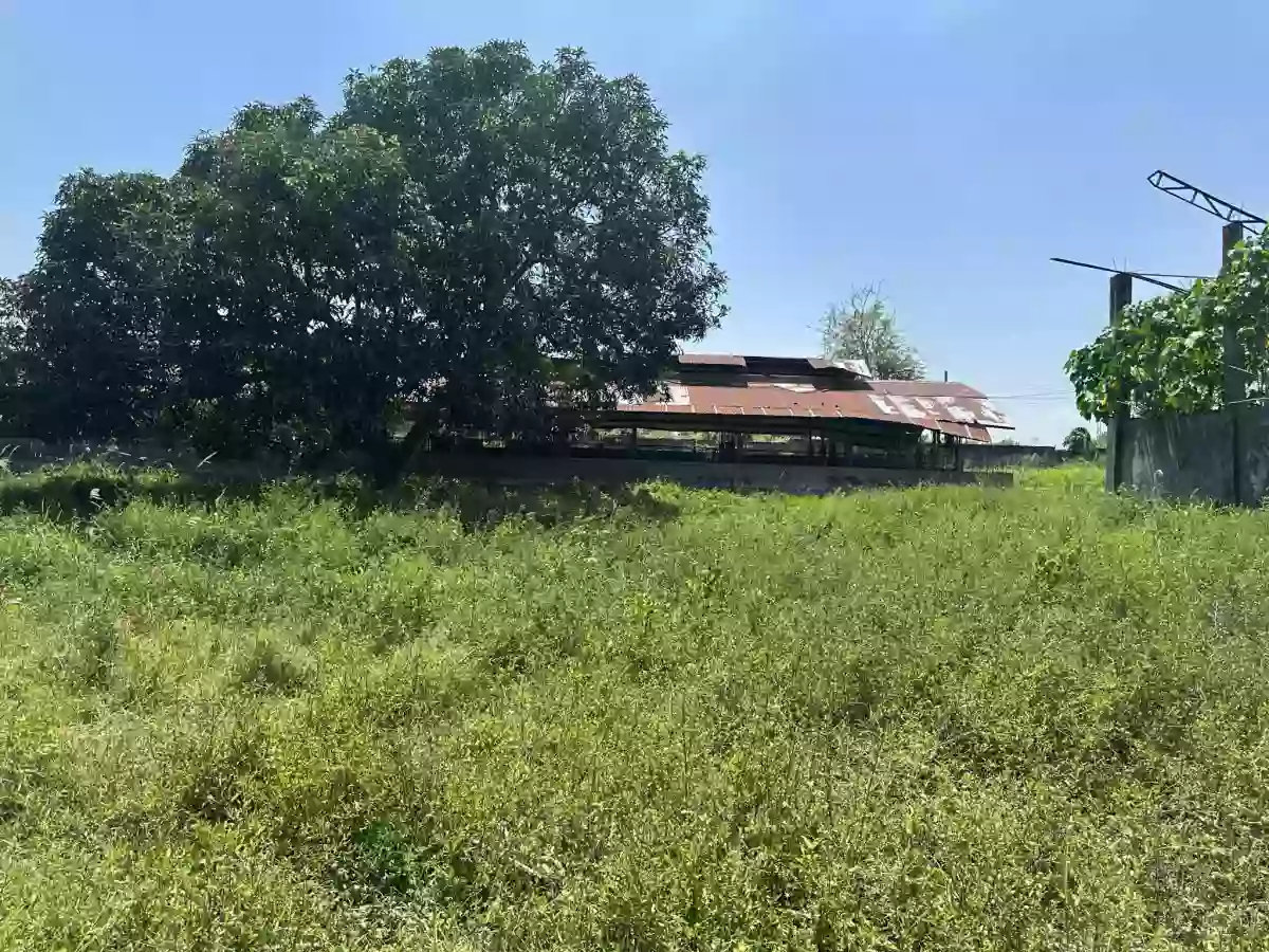 Open photo 19 of 20 — Piggery/Farm Lot For Sale in Odagre General Santos City Socksargen