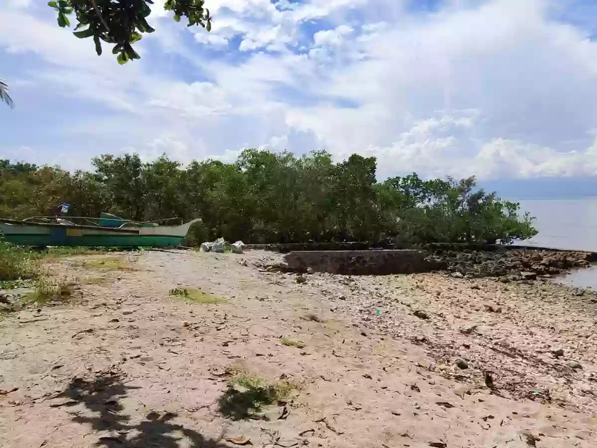 Beach Lot in Dumanjug — Beach Lot in Philippines — Photo 2